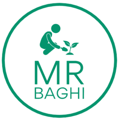 Mr Baghi